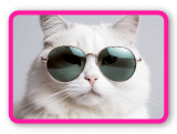 Ajoute des lunettes à la photo