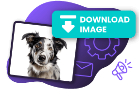 White Background Editing Tool