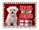 Éditeur de photos de Noël