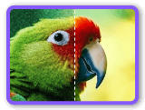 Dénoiser l'image