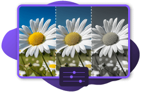 Image Fade Effect
