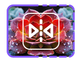Image Miroir