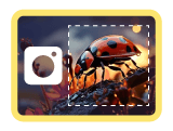 Redimensionner la Photo pour Instagram