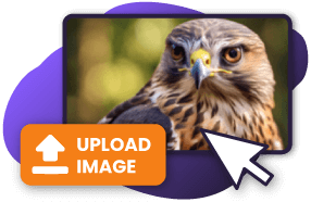 Jpeg artefacten online verwijderen