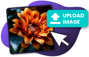 Faire un négatif de la photo