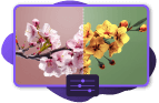 Online Paint Bucket Tool