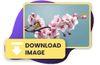 Paint Bucket Tool Online