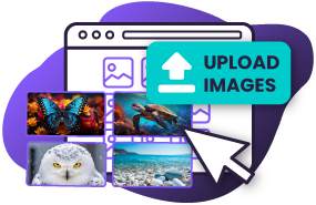 upload pictures for montage