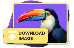 Transform Png Color