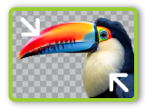 Compresseur PNG
