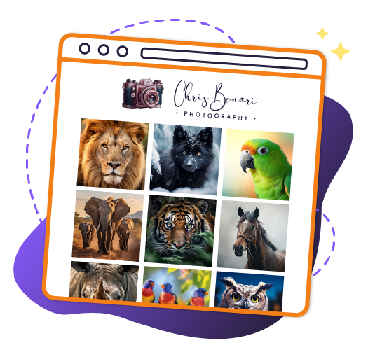 create portfolio site