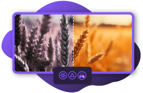 Ai Filter Removal