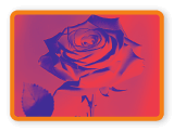Filtre thermique