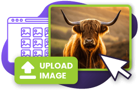 Convert Image To Line Drawing Online